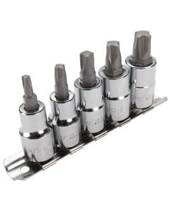 WLMW13500 image(0) - Wilmar Corp. / Performance Tool 5 pc. Mortorq Bit Socket Set
