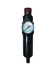RTCFR250-G image(0) - Reading Technologies  FR250-G Filter/Regulator, 1/4 in Inlet/Outlet, 30 scfm, 5 um, 120 deg F Maximum, 230 psig Maximum Supply