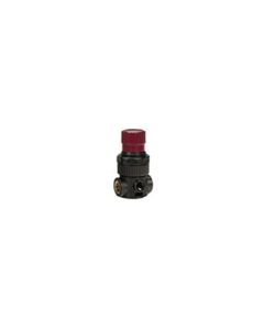 RTCMR1 image(0) - Reading Technologies  MR-1 HVLP Mini Regulator, 1/4 in Inlet/Outlet, 200 psi